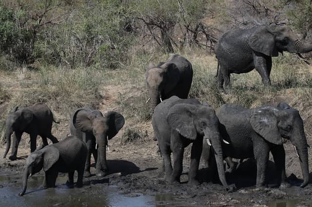 Ntandanyathi Game Viewing Hide - Image 3