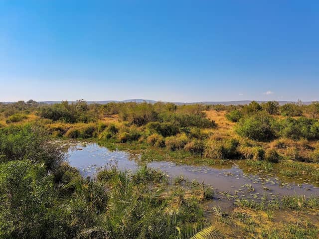 Ntandanyathi Game Viewing Hide - Image 1