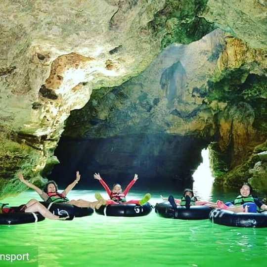 GOA PINDUL - Image 1