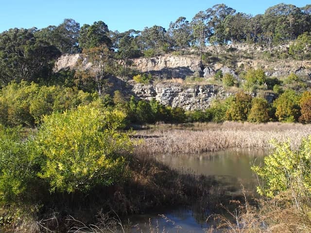Wallsend Brickworks Bird Hide - Image 2
