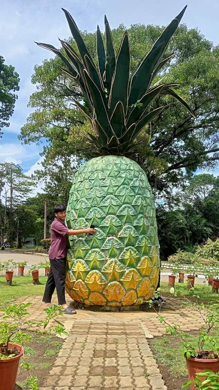 Del Monte Pineapple Monument - Image 2