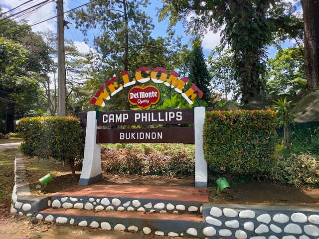 Del Monte Pineapple Monument - Image 1