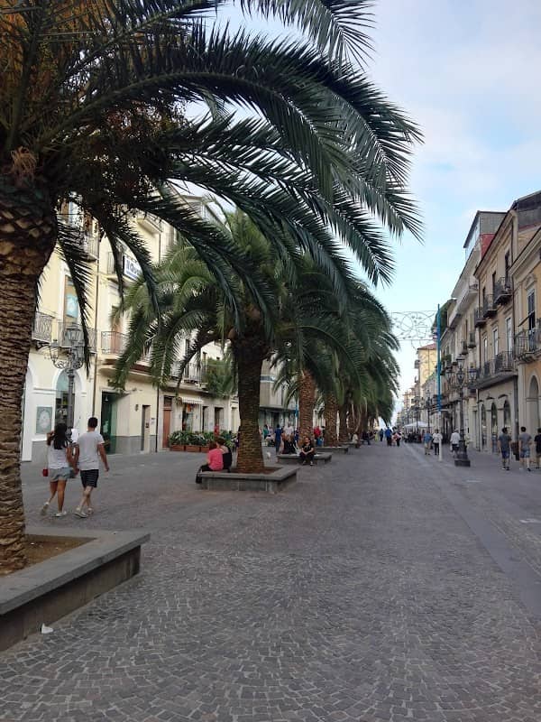 Le Palme - Image 1