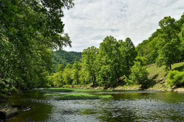 Levisa Fork - Image 1