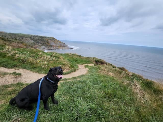 Cleveland Way - Image 3