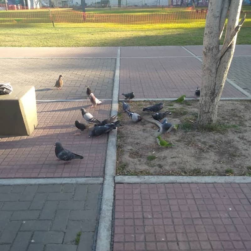 Plaza Arenales - Image 1