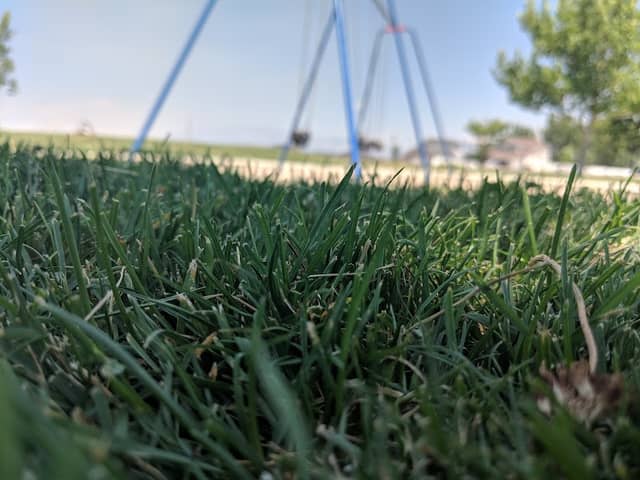 Kestrel Park - Image 2