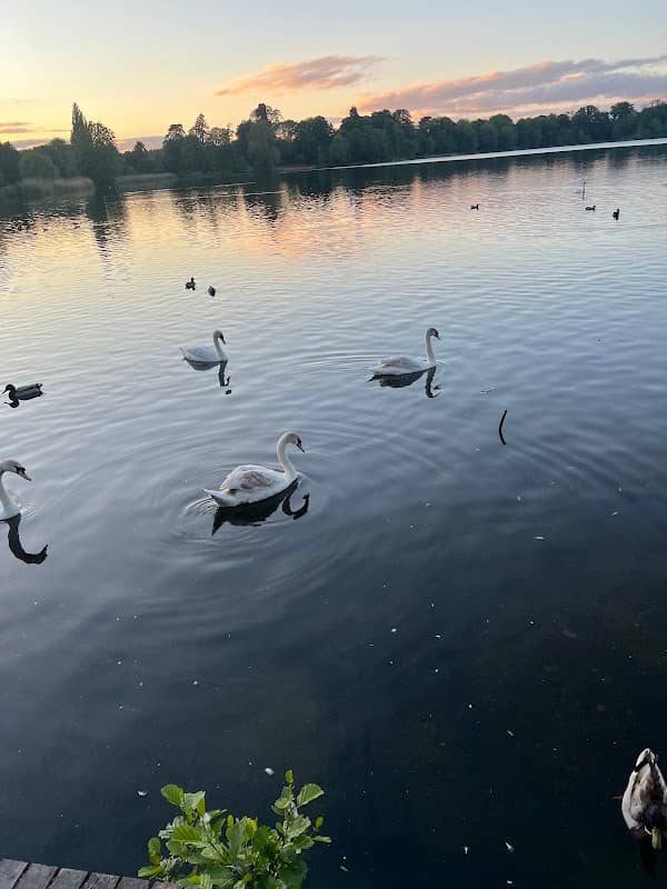 The Mere At Ellesmere Country Park - Image 2