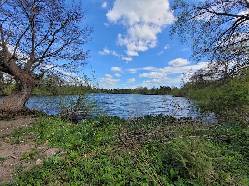 The Mere At Ellesmere Country Park - Image 3