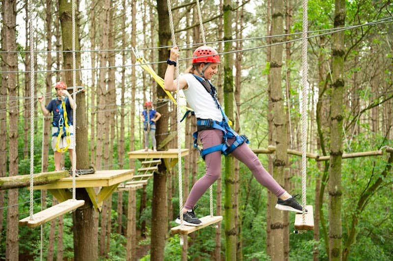 Lake Geneva Ziplines & Adventures - Image 3