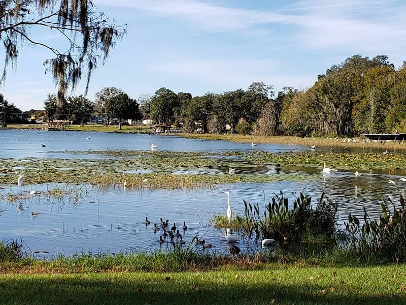 Lake Ariana - Image 1