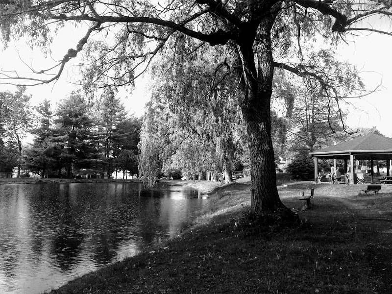 Wohlfarths Pond - Image 1