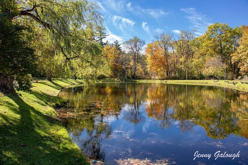 Wohlfarths Pond - Image 2