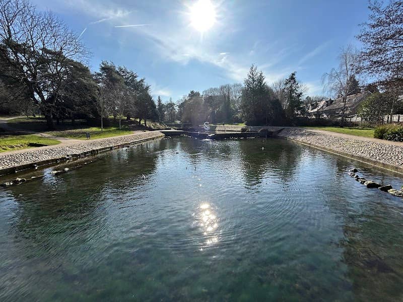 Harlow Town Park Water Garden - Image 1