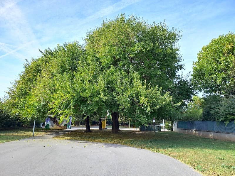 Parco del Borgo Nuovo - Image 2