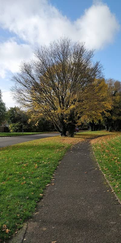 Lowlands Park - Image 1