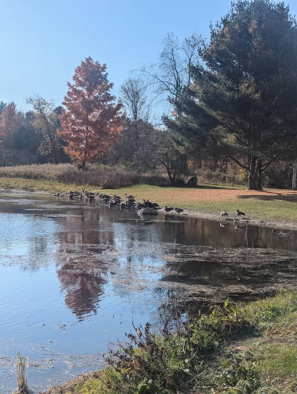Rotary Park - Image 3