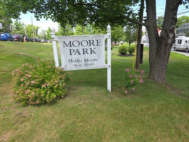 Moore Park - Image 2
