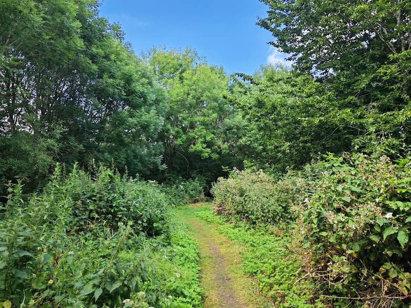 Raunds Pocket Park - Image 1