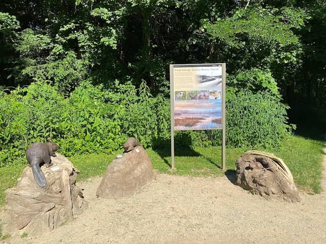 Ira Trailhead - Image 2