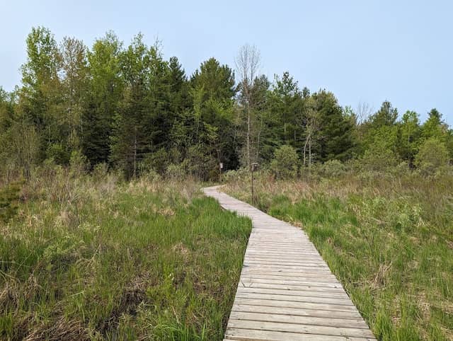 Bognor Marsh Management Area - Image 1