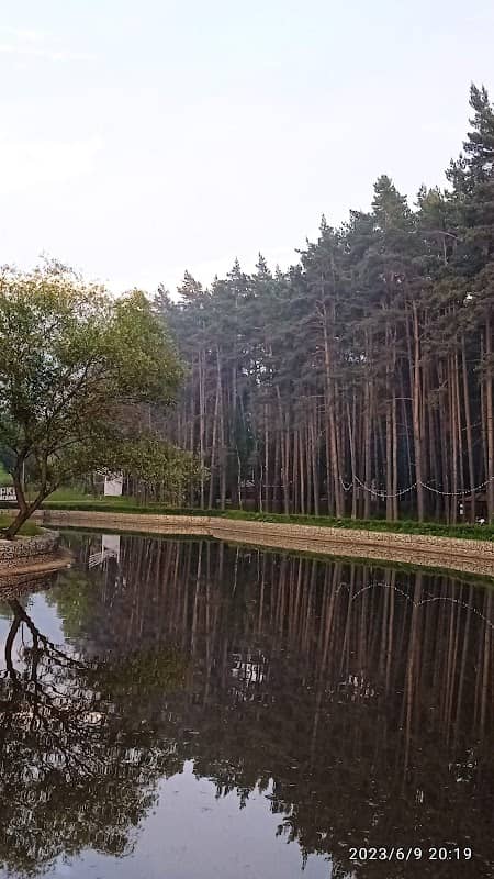 Замечательный парк в Домодедово «Ёлочки» - Image 1