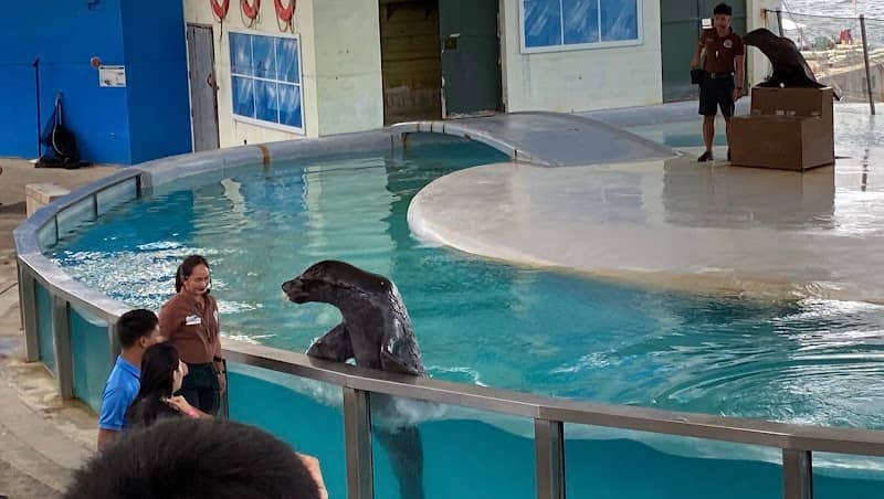 Sea Lion Stadium - Image 3