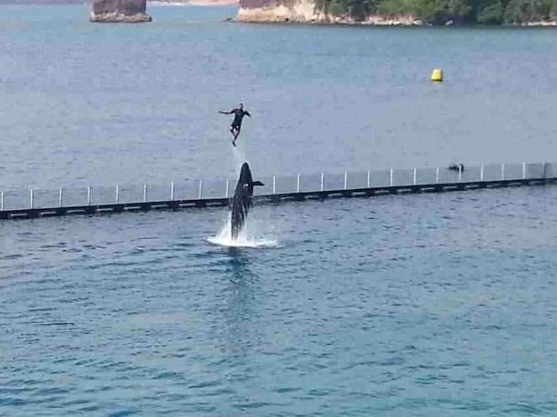 Sea Lion Stadium - Image 2