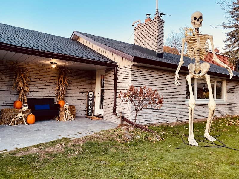 Napoleon BoneApart - Image 1