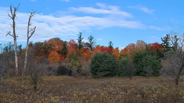 Hiking - Bindertwine Park - Image 2