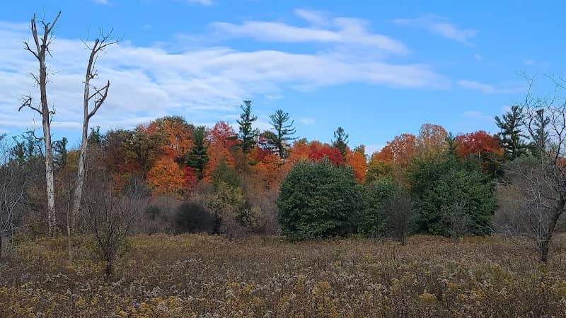 Hiking - Bindertwine Park - Image 2