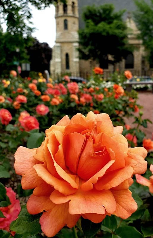Merrick Park - Image 1