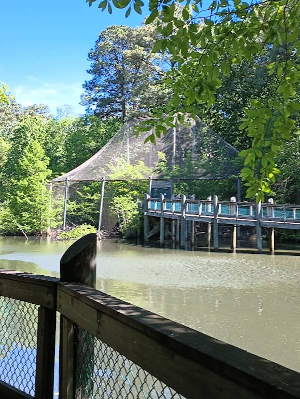 Virginia Living Museum - Image 3