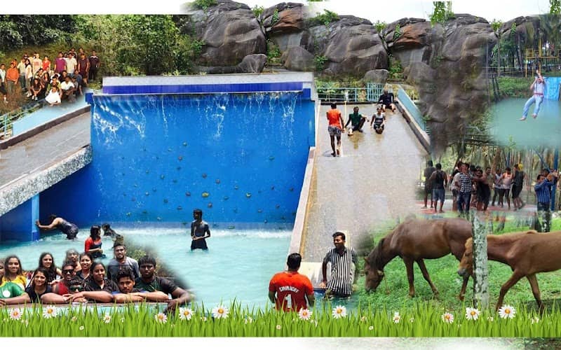 Nagesh Love Forest - Image 1