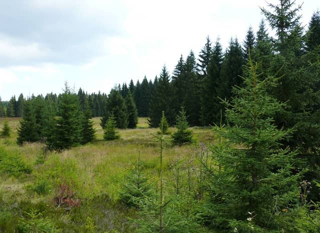 Přírodní park Přebuz - Image 1