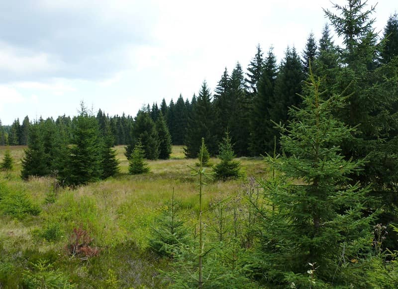 Přírodní park Přebuz - Image 1