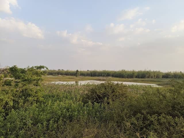Rajapura Lake ರಾಜಪುರ ಕೆರೆ - Image 1