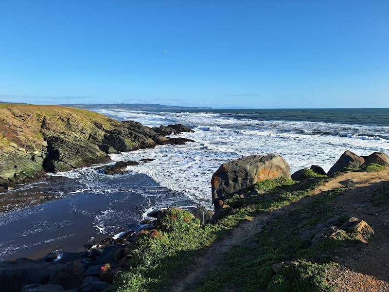 Punta de Lobos - Image 3