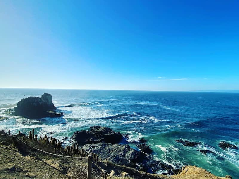 Punta de Lobos - Image 1