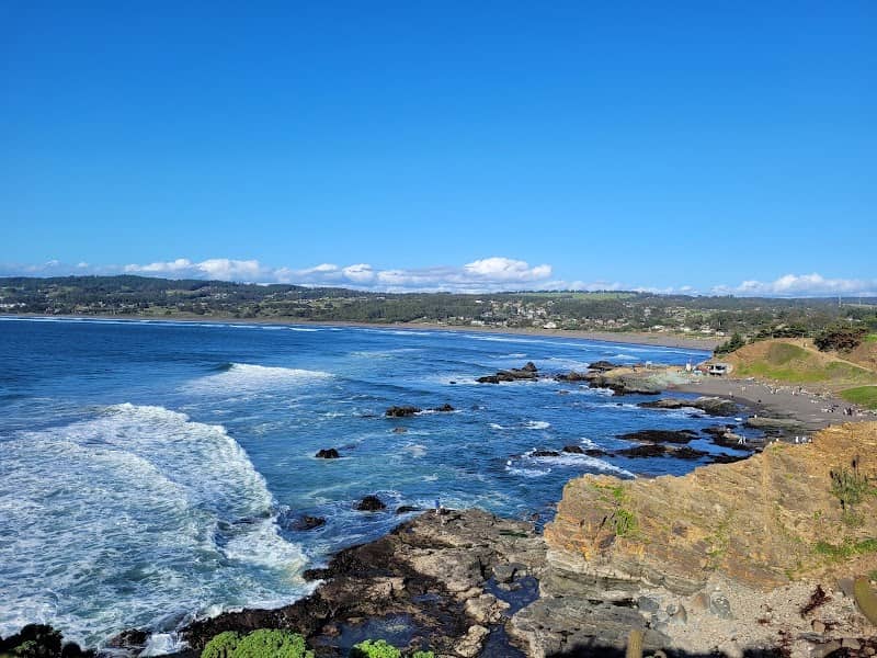 Punta de Lobos - Image 2