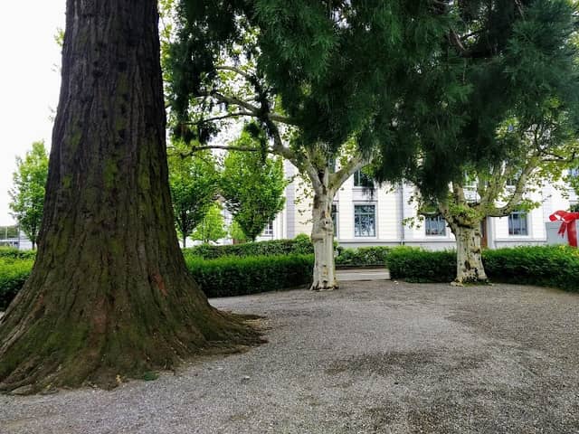 Park - Image 2