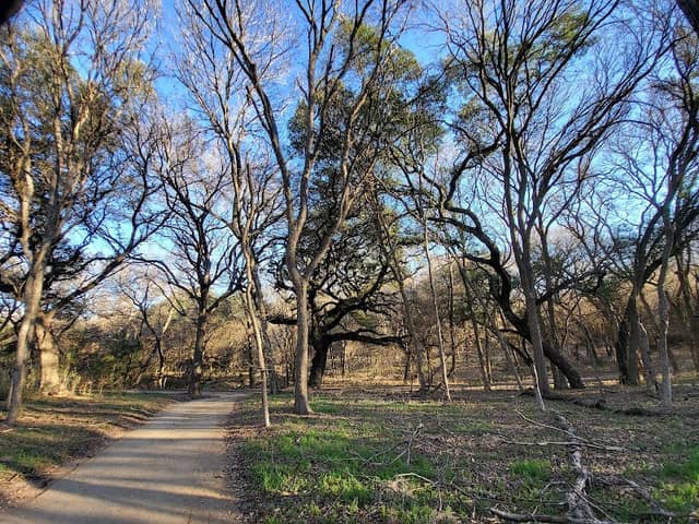 Judson Nature Trails - Image 2