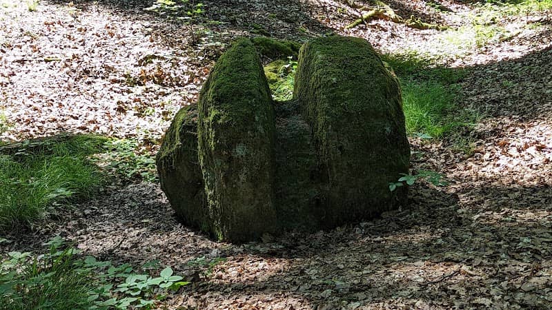 Am Hosenknopf - Image 1