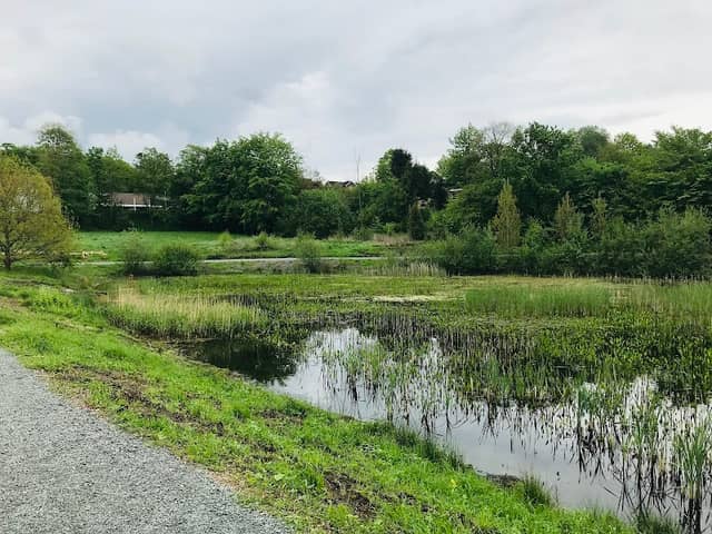 Nyt Mødested Ved Bramdrupdam Dam - Image 1