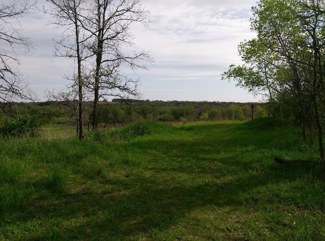 Allenton Marsh Wildlife Area - Image 1
