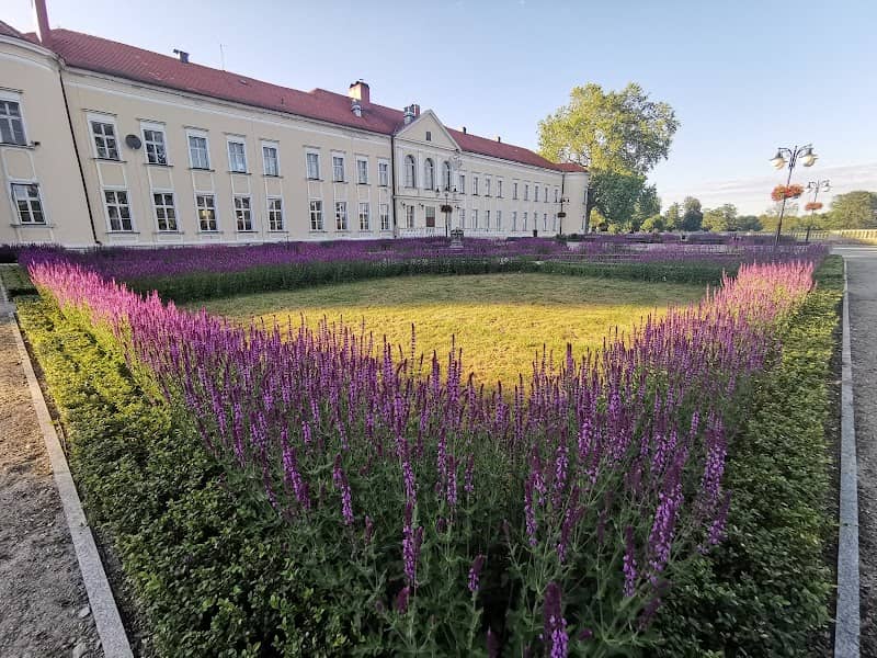 Pałac rodu von Hoym - Image 1