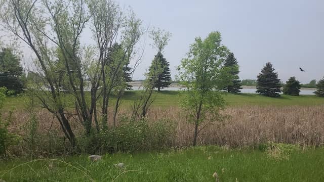Lake Albers - Image 1