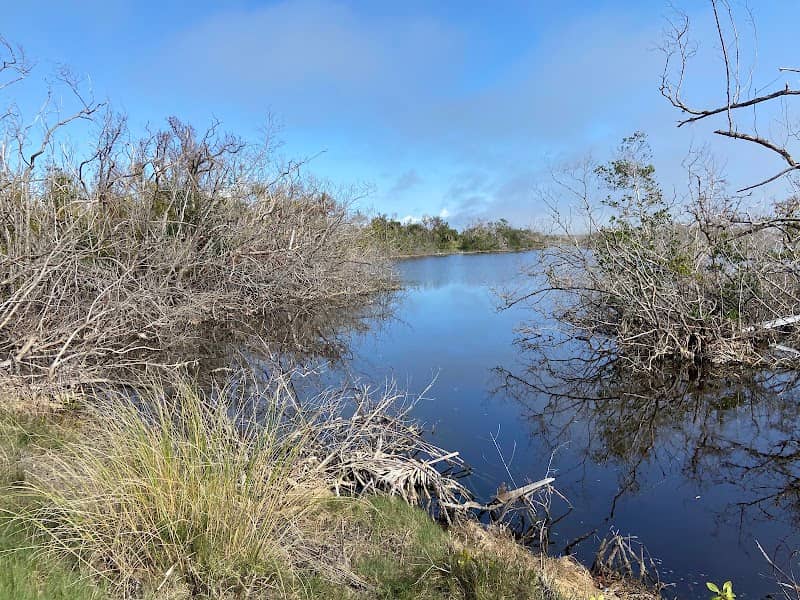 Bailey Tract - Image 2