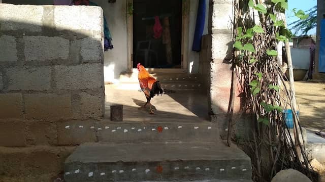 Srikanth BAREGALA kingdom - Image 1