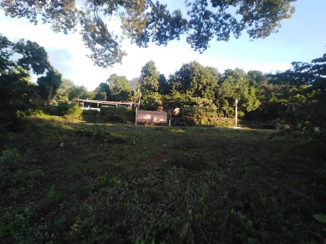 Jabalincito, Parque la ceiba - Image 1